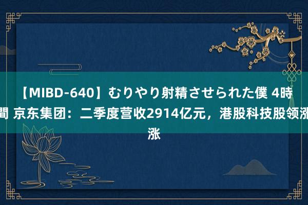 【MIBD-640】むりやり射精させられた僕 4時間 京东集团：二季度营收2914亿元，港股科技股领涨