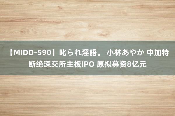 【MIDD-590】叱られ淫語。 小林あやか 中加特断绝深交所主板IPO 原拟募资8亿元