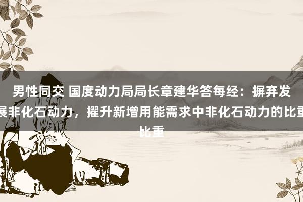 男性同交 国度动力局局长章建华答每经：摒弃发展非化石动力，擢升新增用能需求中非化石动力的比重